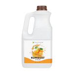 Tea Zone J1055 Kumquat Syrup, 64oz, 1 each